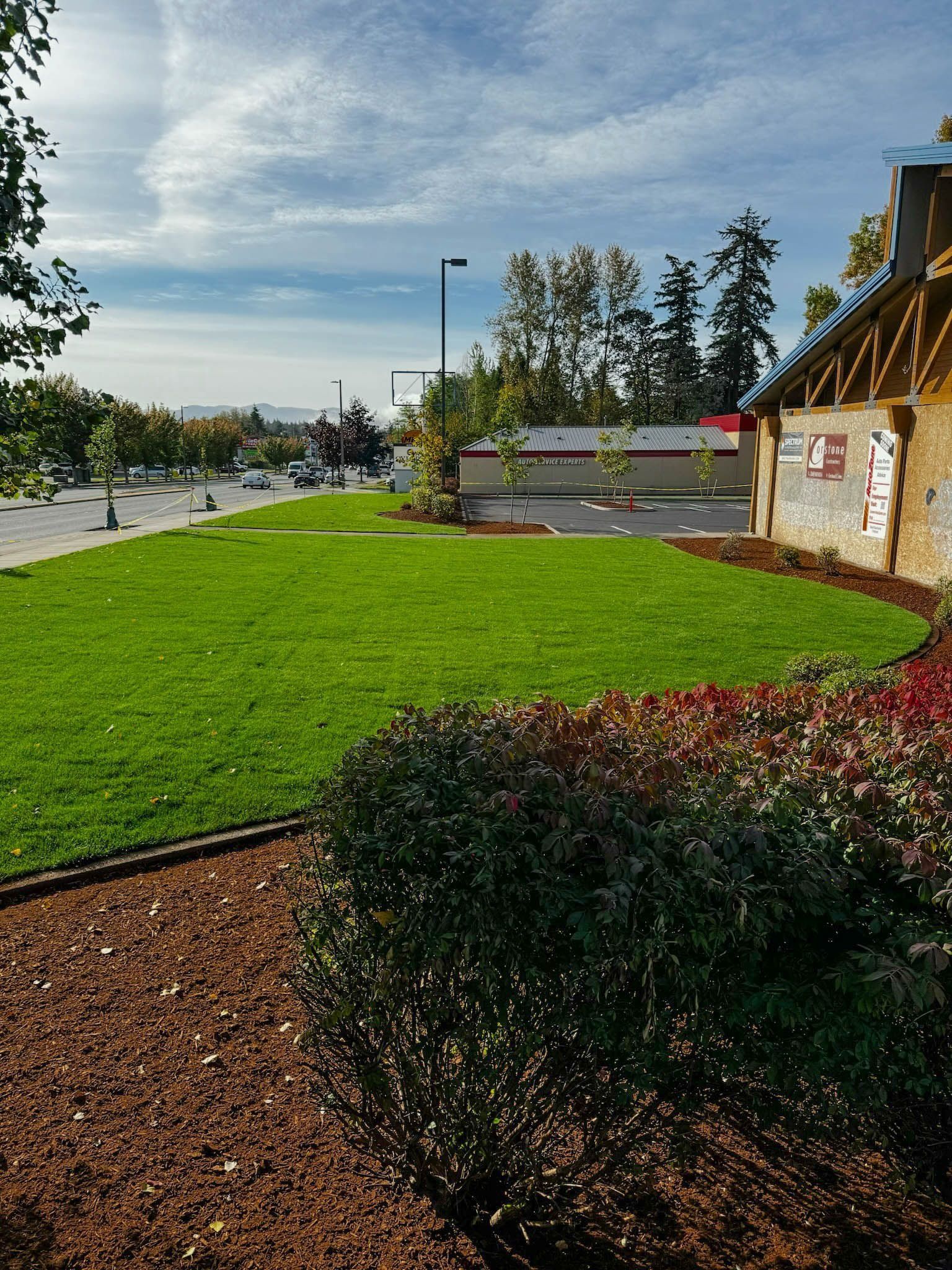 Lush green lawn with mulch and shrubs in front of a building and parking lot, trees in the background under a blue sky.