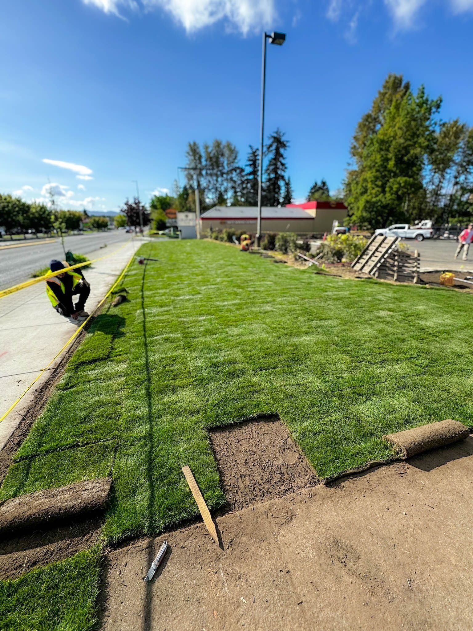 Workers install sod on a grassy area next to a sidewalk and street on a sunny day.