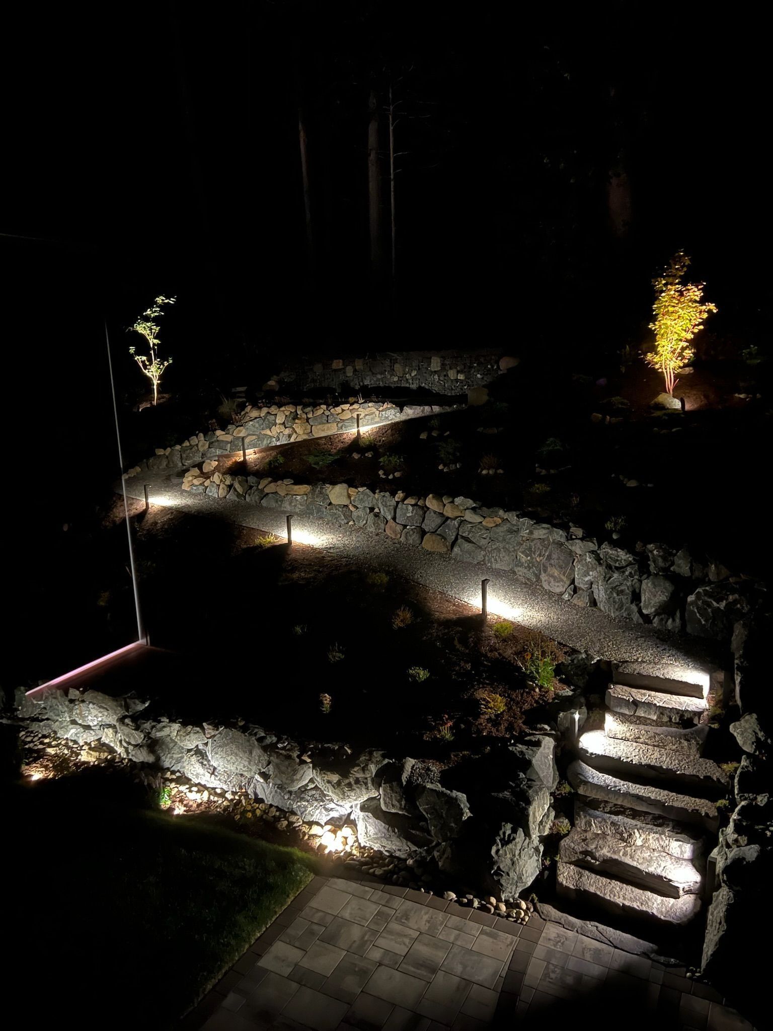 Nighttime landscape with illuminated stone steps and winding pathway; small trees lit up.