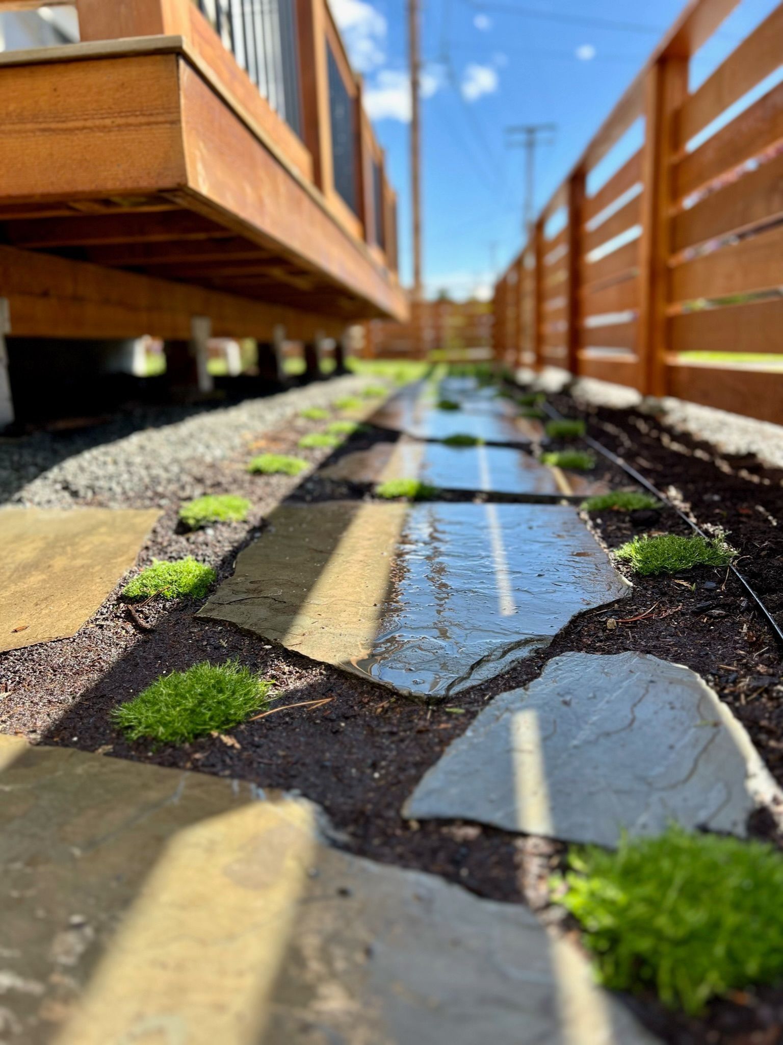 Pathway of stepping stones with greenery alongside a wooden deck and fence on a sunny day.