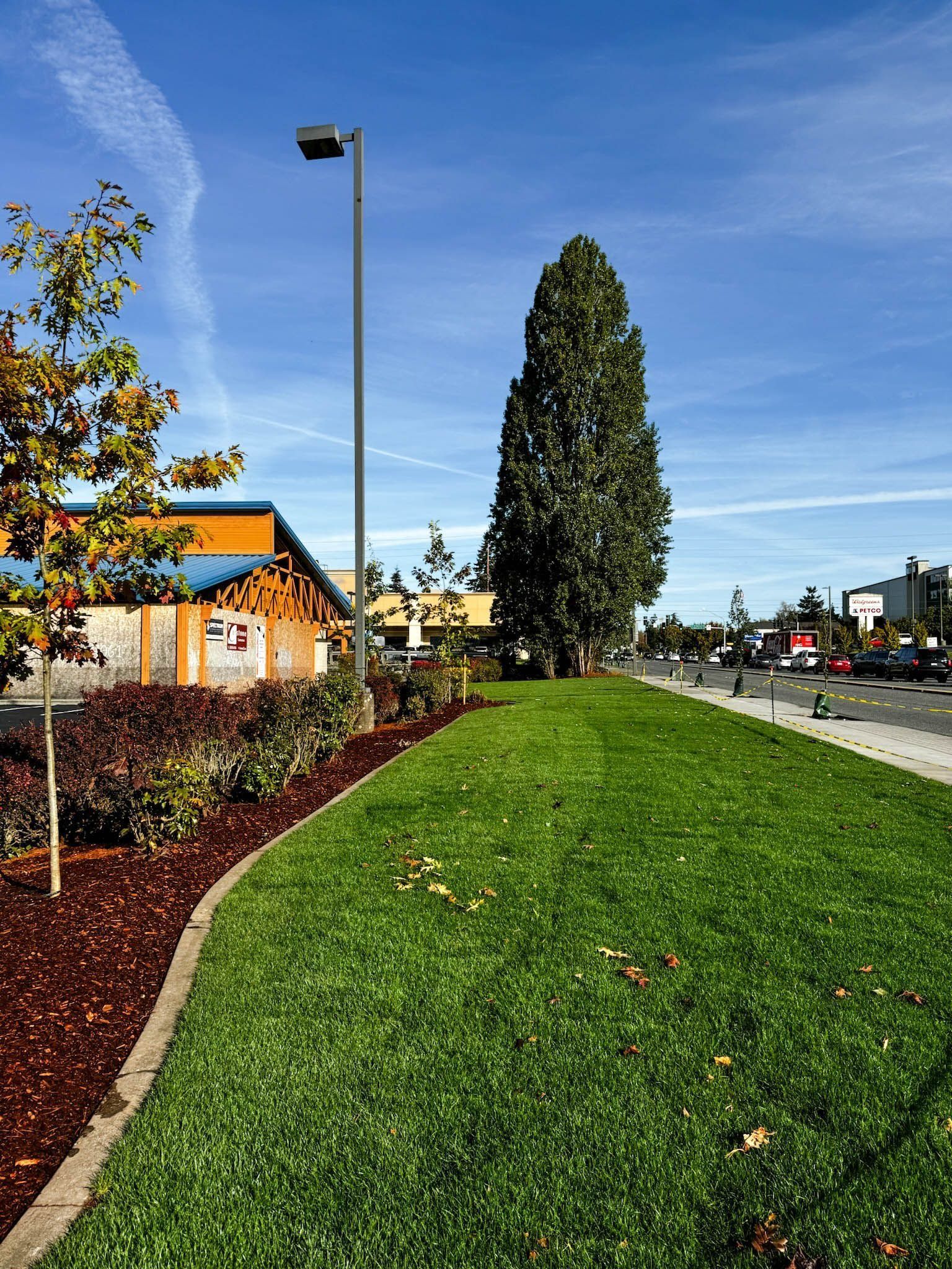 Green lawn and trees next to a sidewalk and a building with a blue roof, under a blue sky.