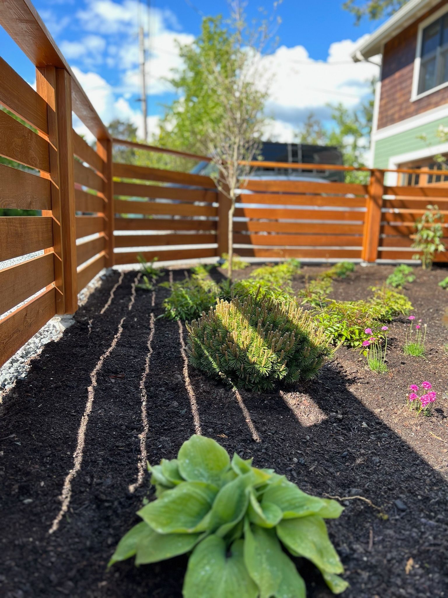 Wooden fence borders a garden bed with plants and black mulch.