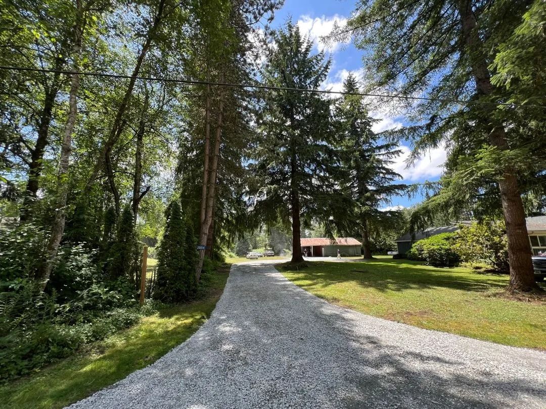 Gravel driveway leading through trees to a house on a sunny day.