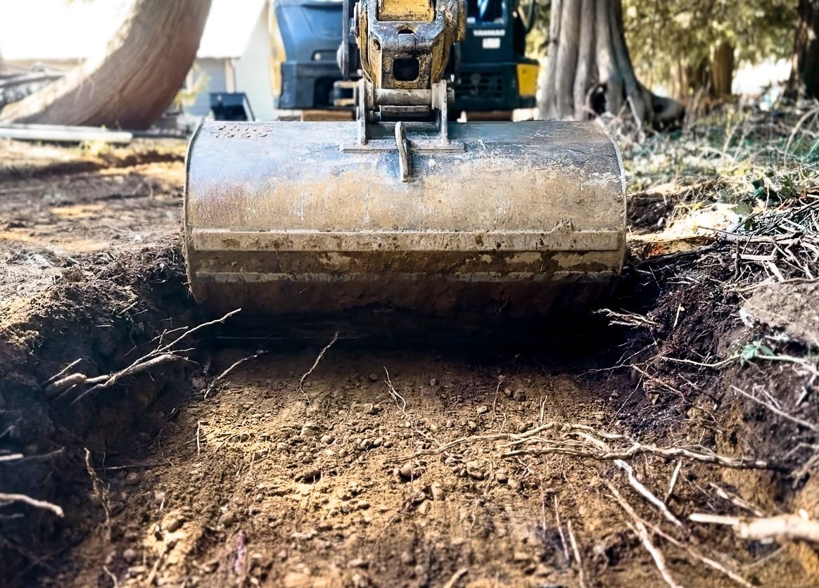 An excavator's bucket digging into the ground, revealing soil and roots