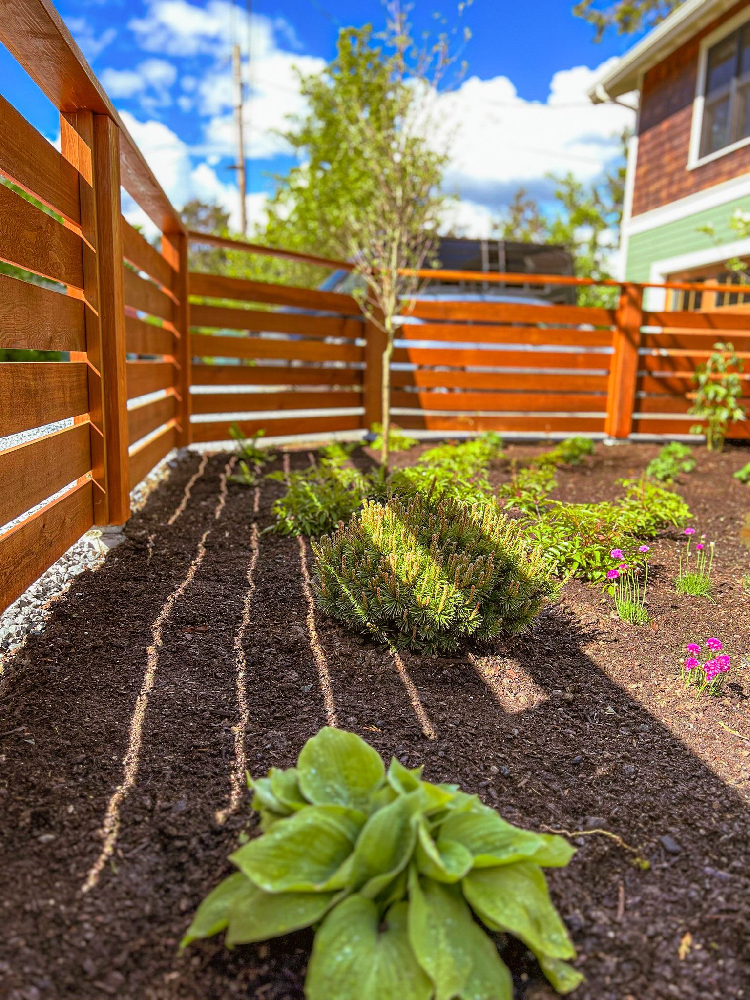Wooden fence surrounds a garden bed with plants