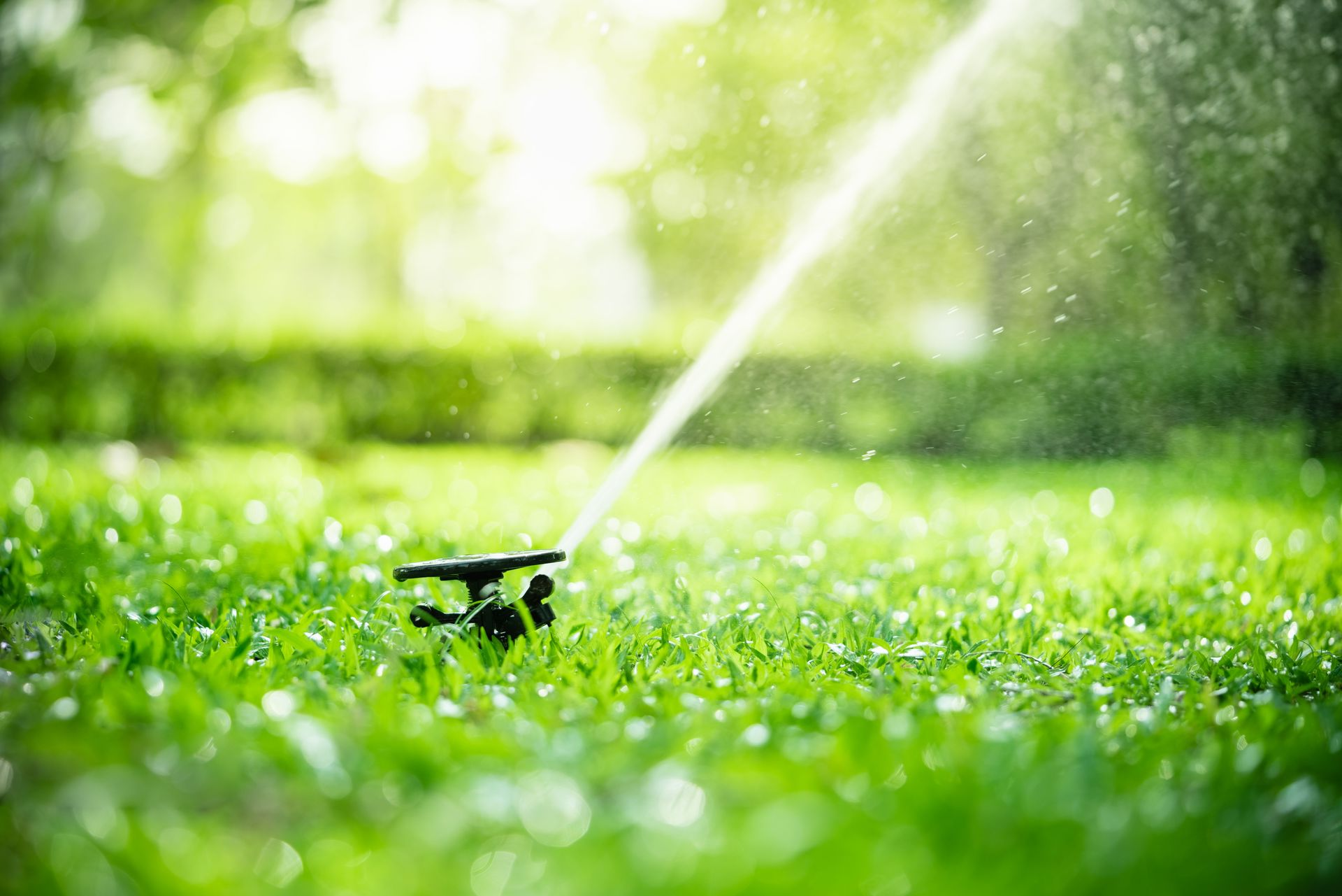 Sprinkler watering green grass in a sunny outdoor setting.