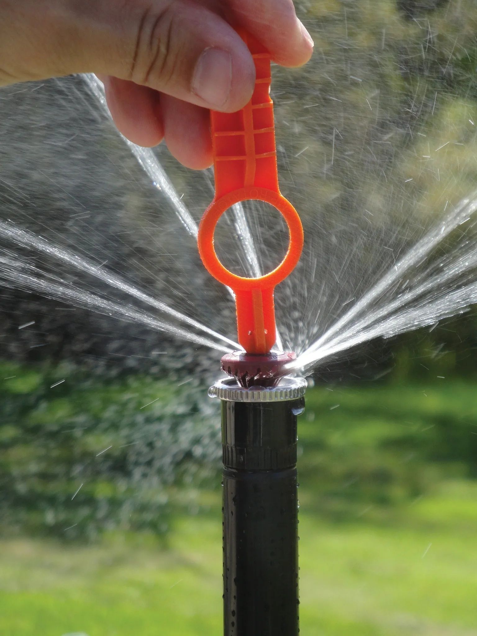 Hand adjusting an orange sprinkler head with water spraying.