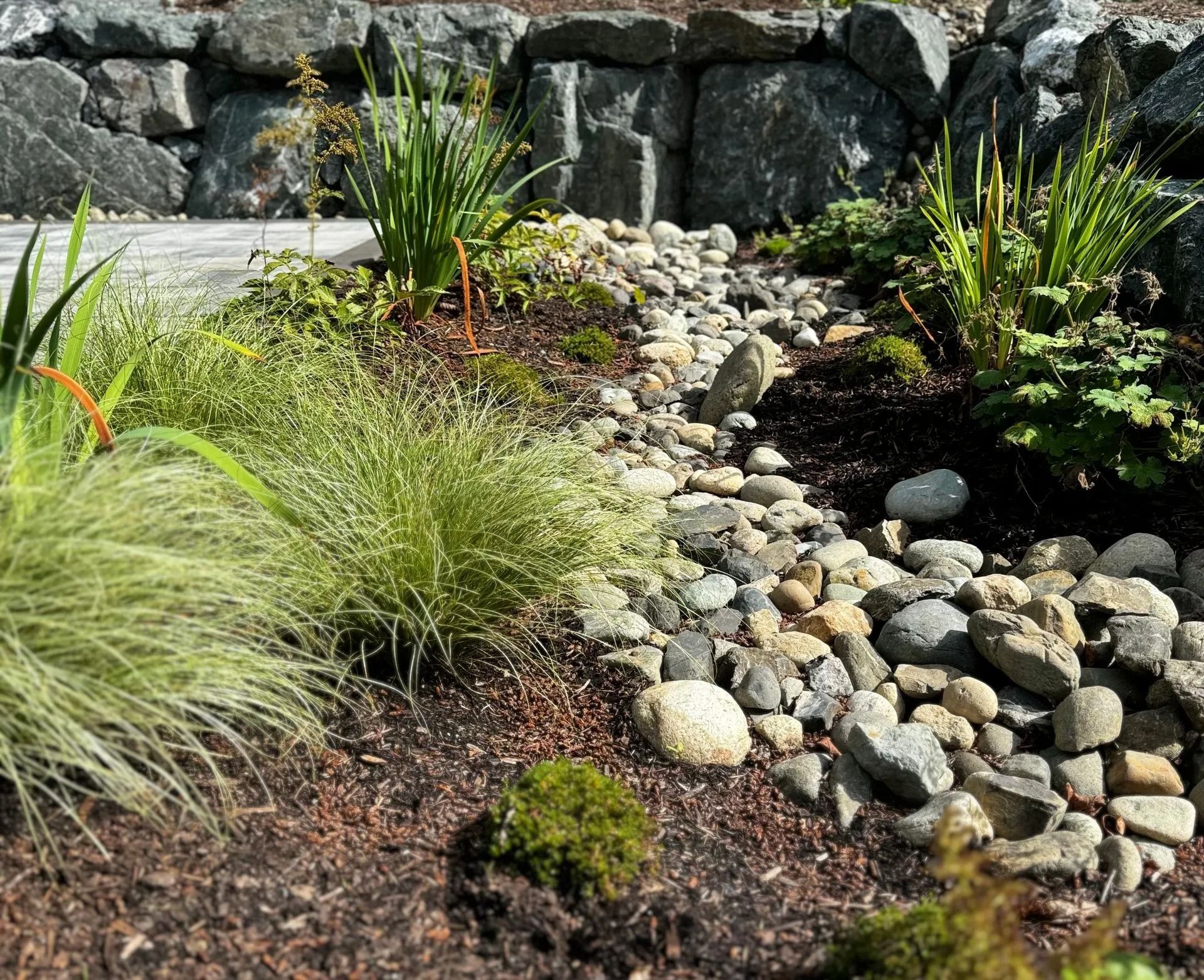 Rock garden with varied greenery and a stream bed of rocks in front of a stone wall.