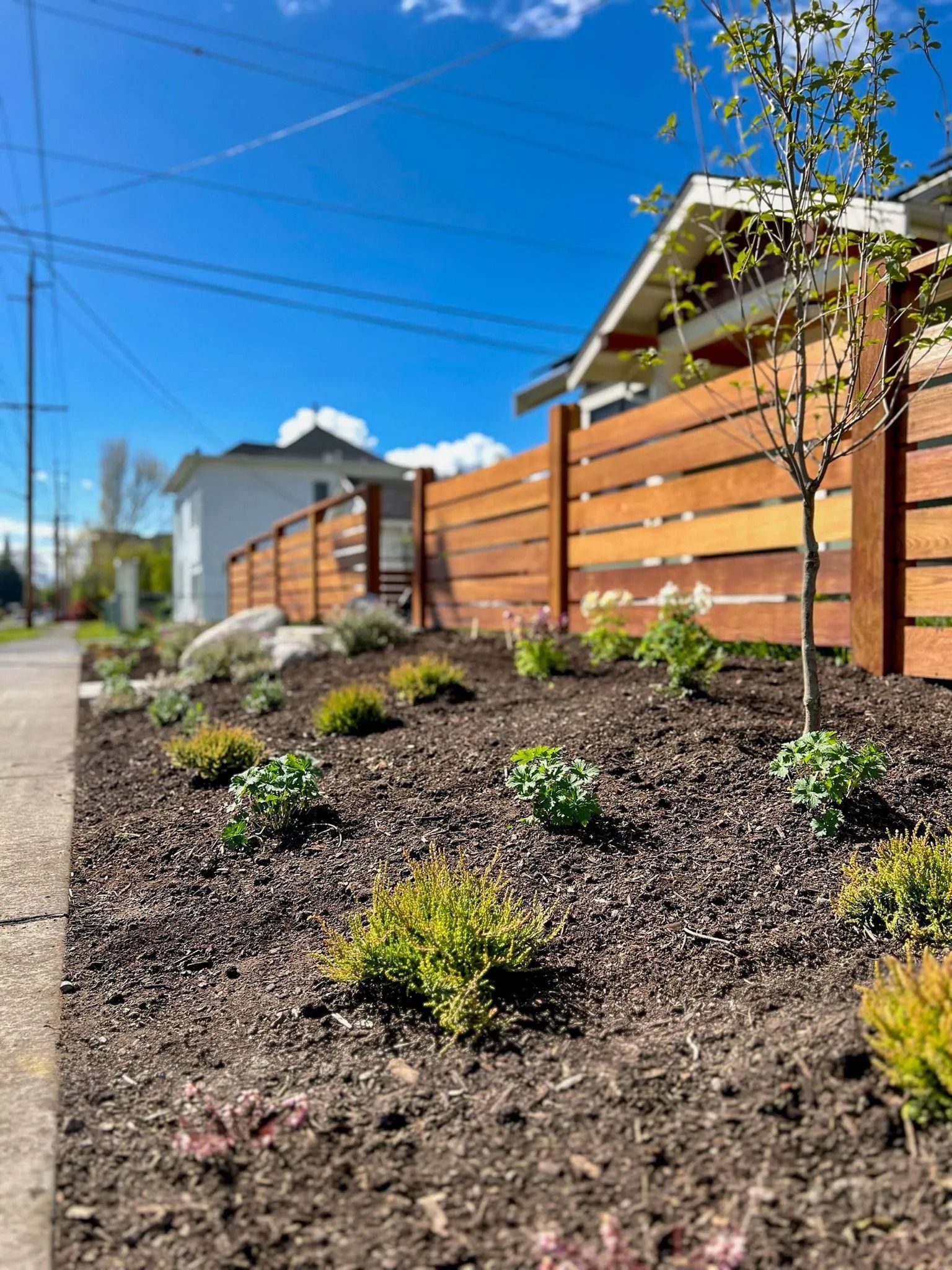 Brown wooden fence and landscaped garden bed with small plants and mulch. Blue sky.