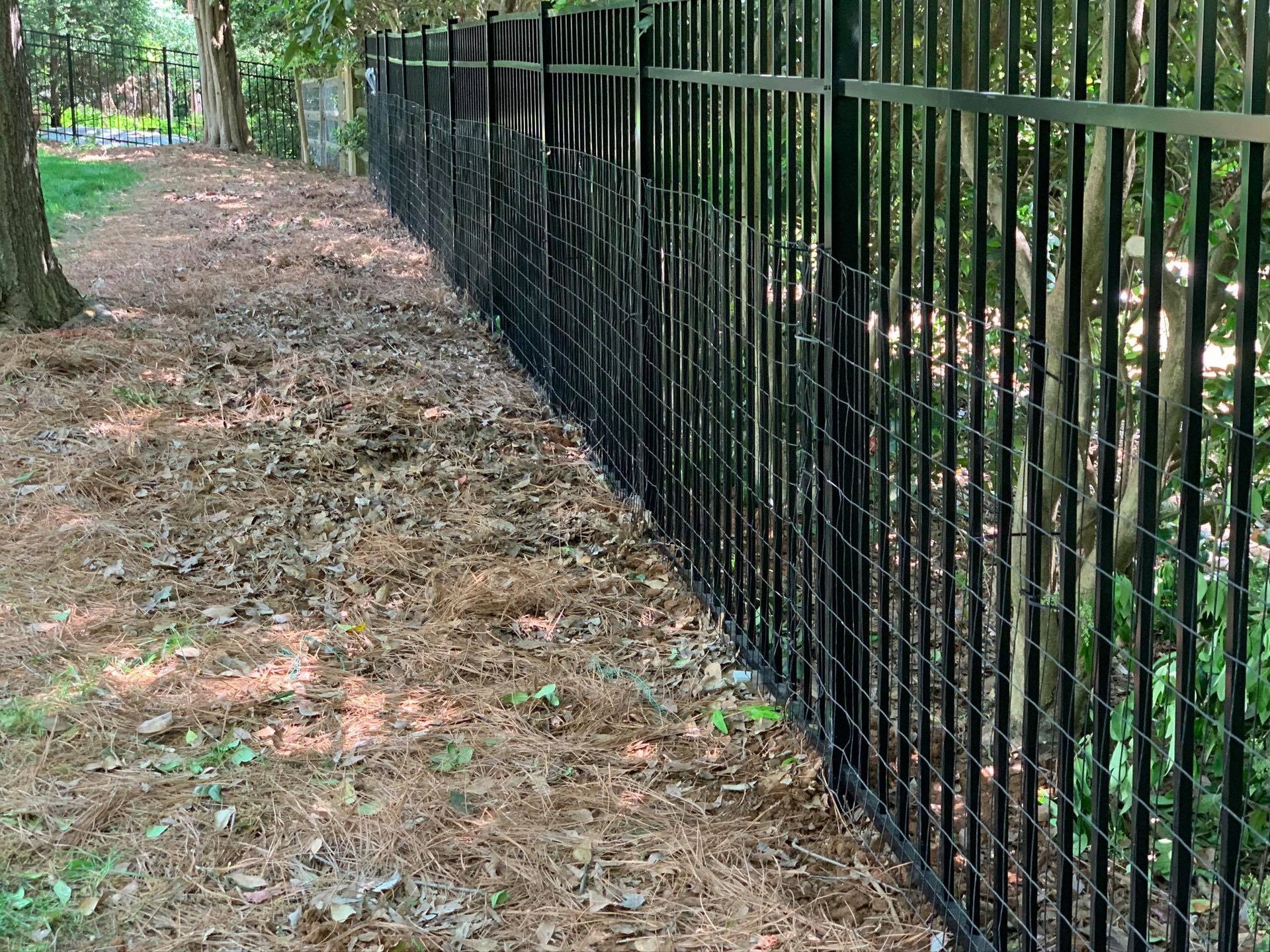 A black metal fence surrounds a dirt path in a park.