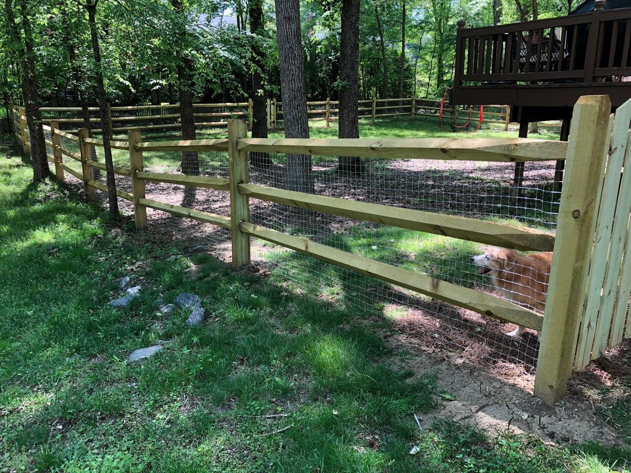 A wooden fence with a dog behind it in a yard.