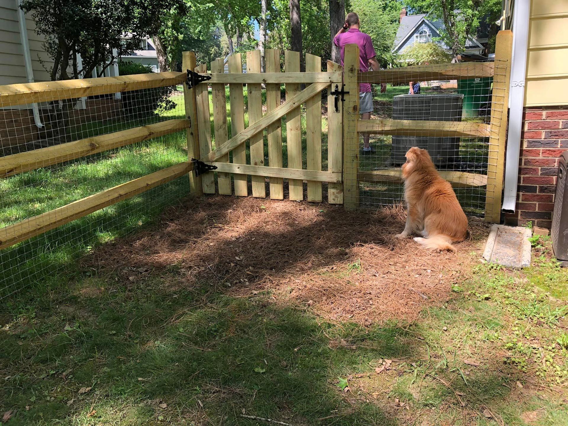 A dog is sitting in front of a wooden fence.