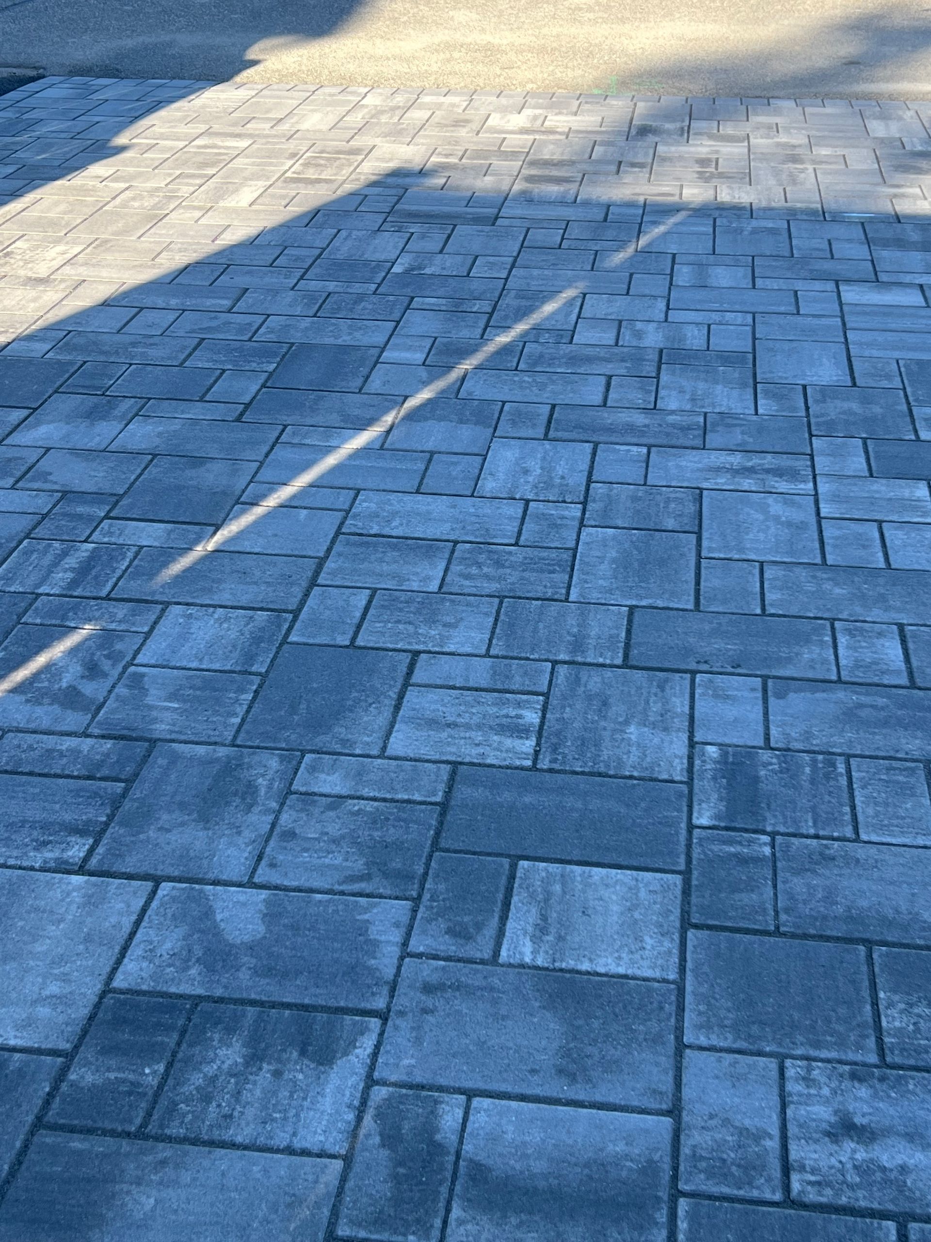 Blue-gray brick pavers on a patio, with shadows from a sunny day.