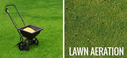 maintaining your lawn with lawn aeration