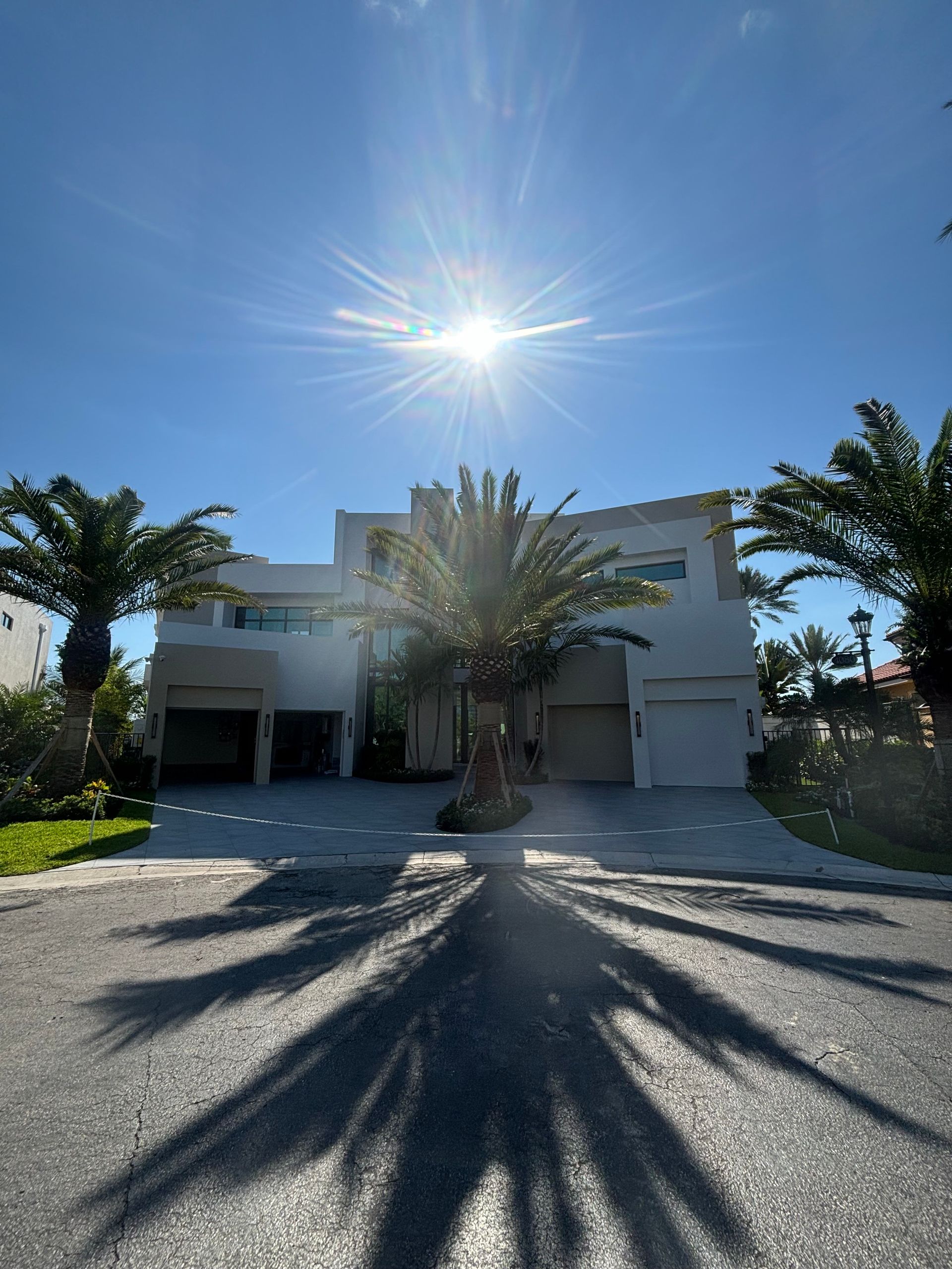 A house with a palm tree in front of it