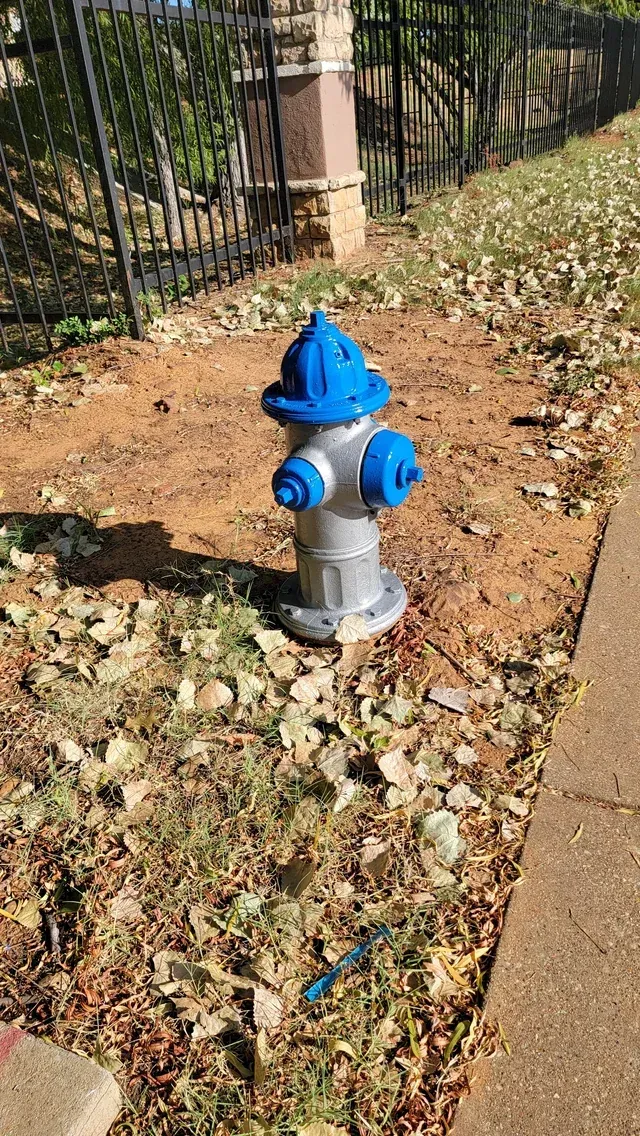 Blue fire hydrant on a dirt patch beside a sidewalk and black fence with fallen leaves around it