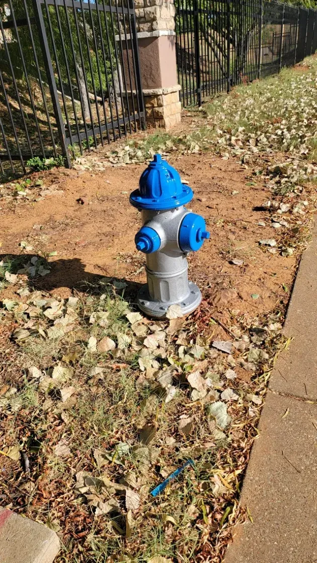 Blue fire hydrant on a dirt patch beside a sidewalk and black fence, with fallen leaves nearby