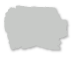 Light gray irregular blob shape on a white background.