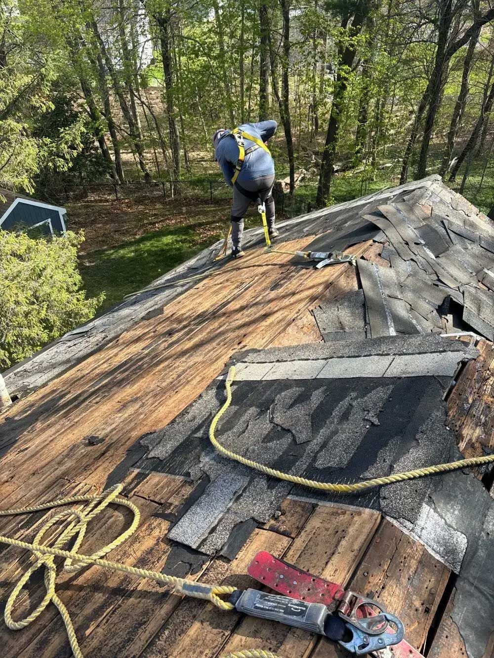 Roofer on a damaged roof, using tools. Yellow rope attached to a harness. Trees in the background.