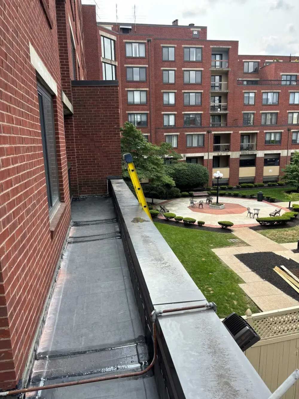 View from a rooftop: metal ledge with a ladder leading down; brick buildings and a courtyard with greenery.