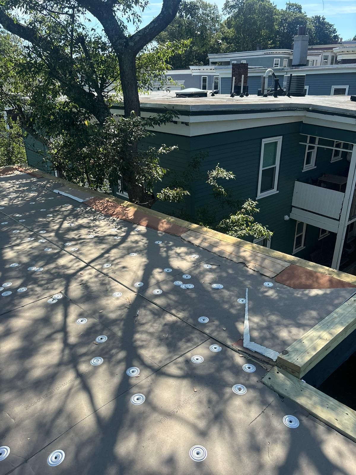 Rooftop with tan insulation, white fasteners, and green building in background, trees casting shadows.