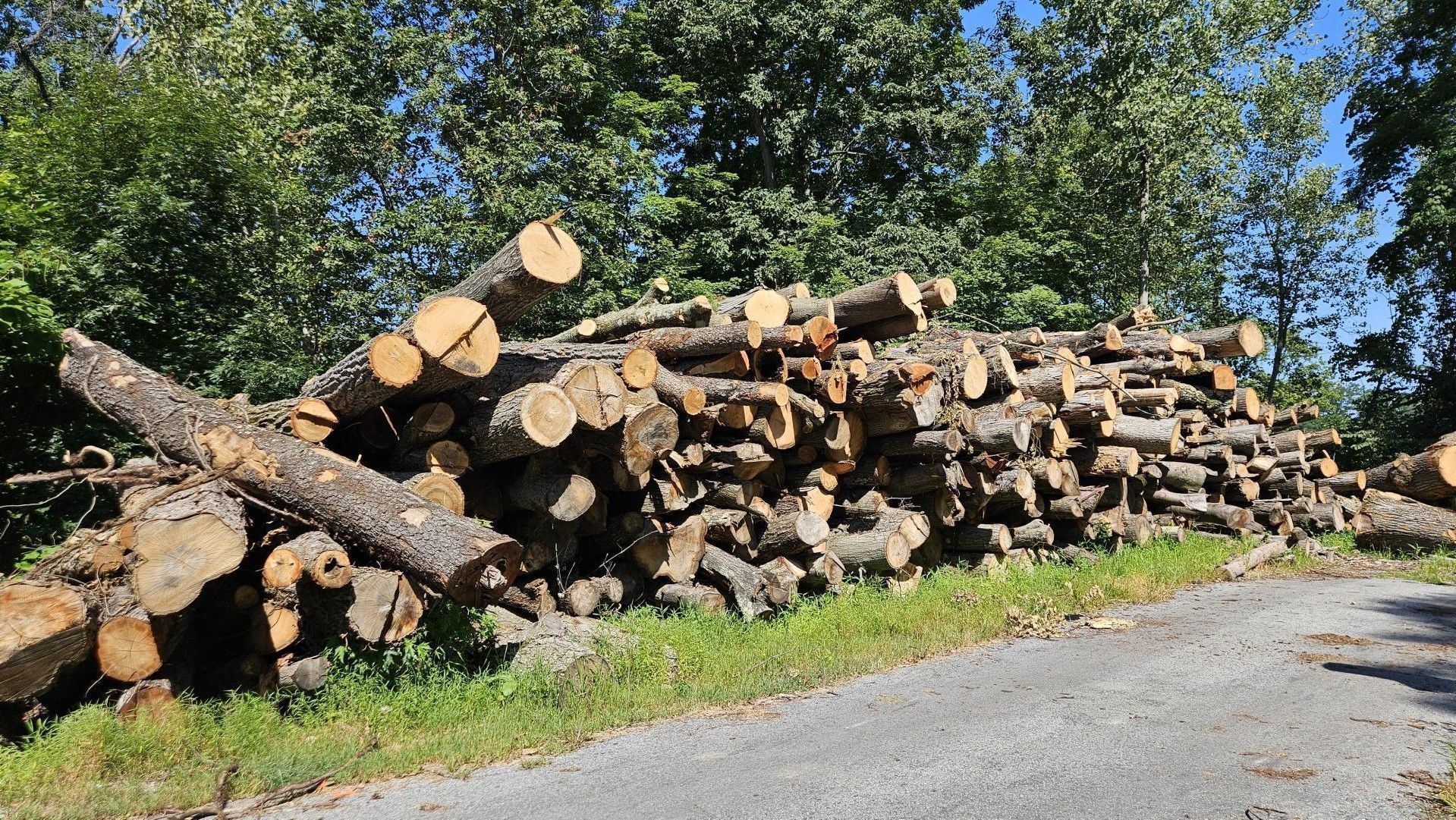 Flanagan Tree Service LLC