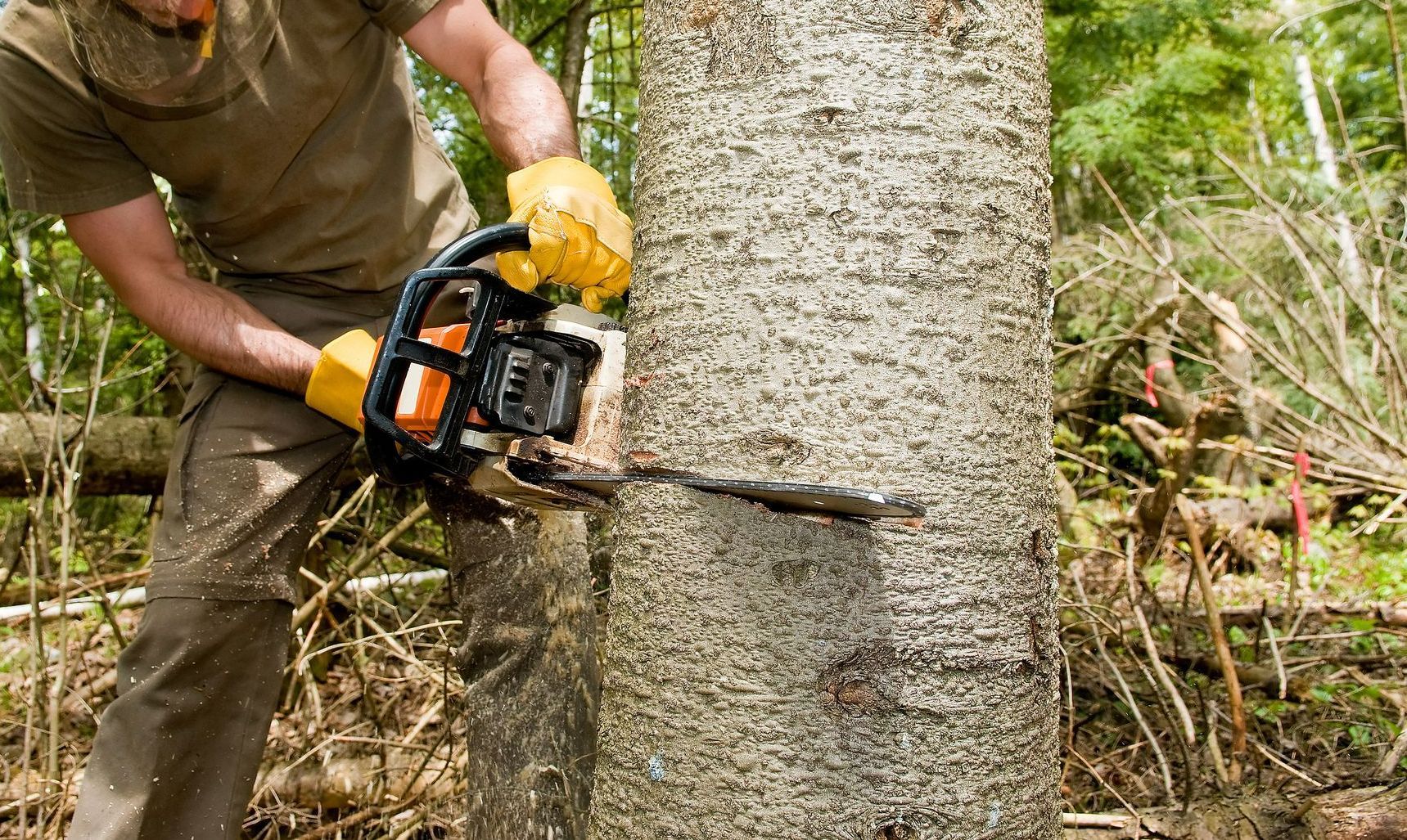 Flanagan Tree Service LLC