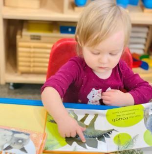 A little girl in a purple shirt is reading a book about dinosaurs