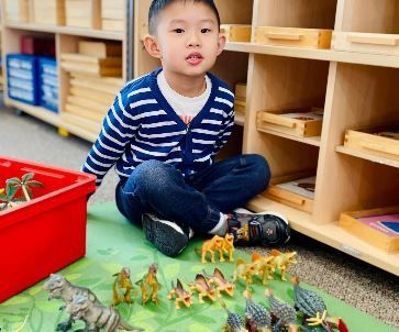A young boy is sitting on the floor playing with toy dinosaurs