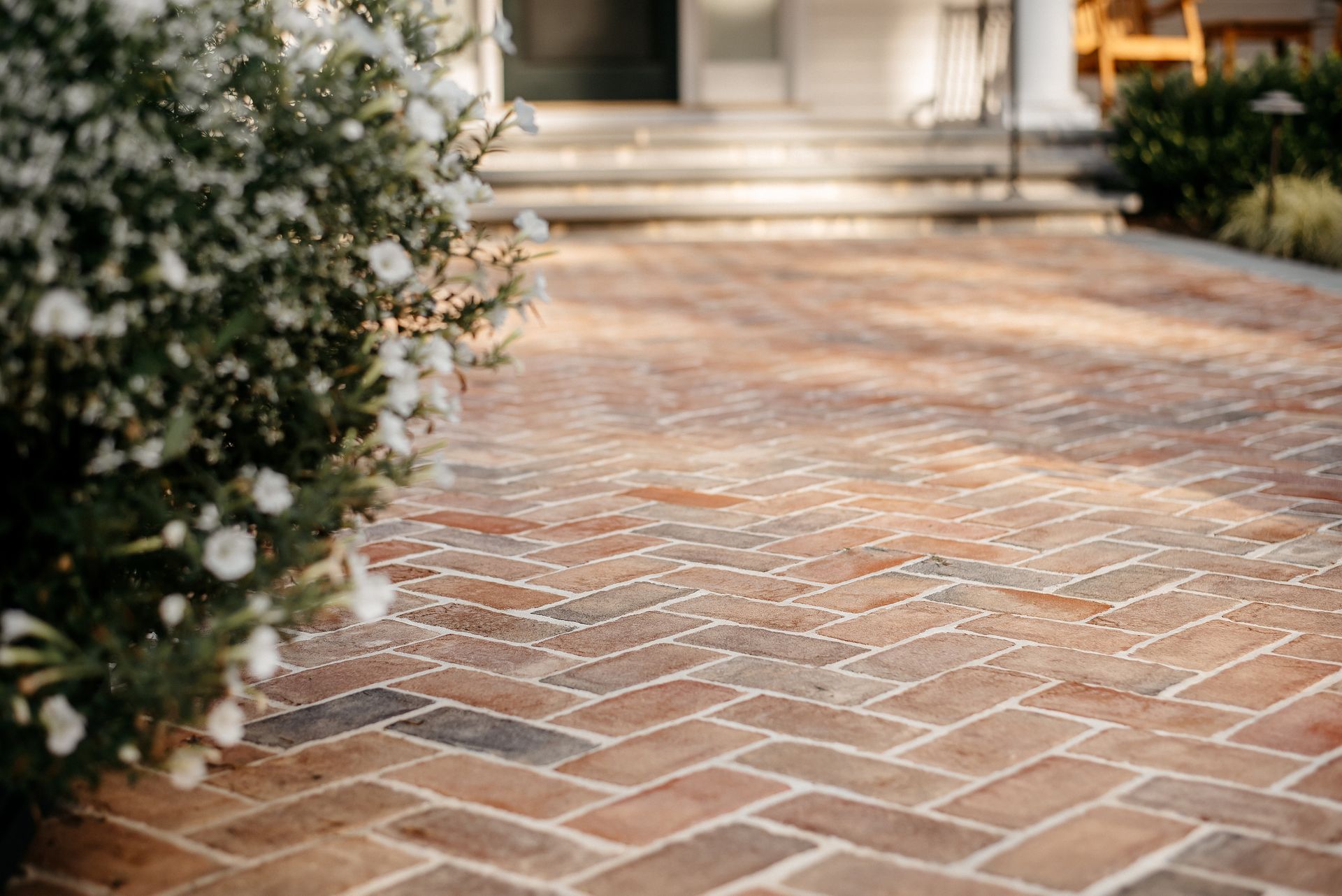 Brick pathway leading to a house entrance, bordered by white flowering shrubs