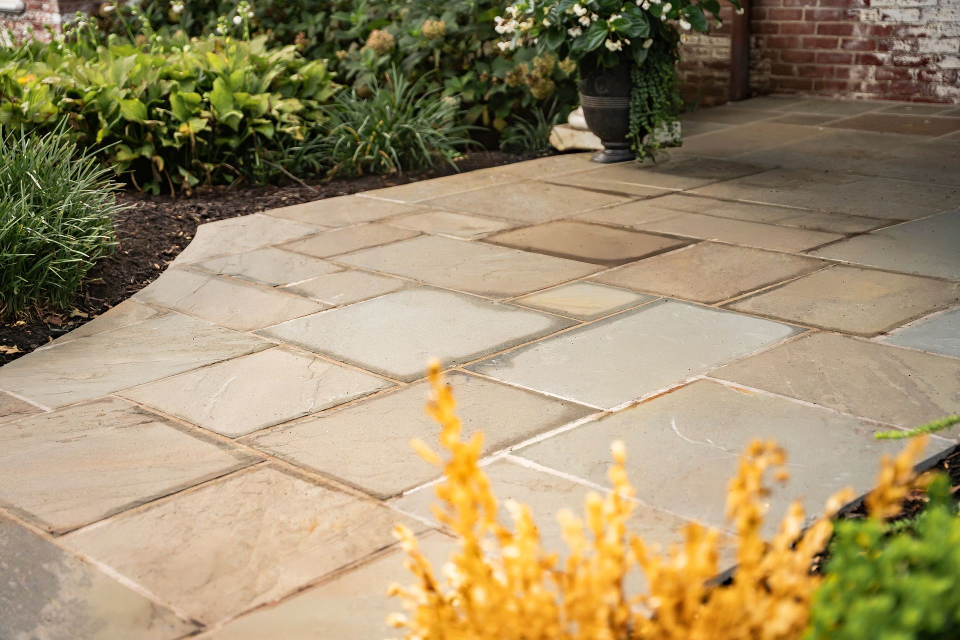 Stone patio with beige pavers, bordered by green shrubs and a brick wall, with yellow flowers in the foreground