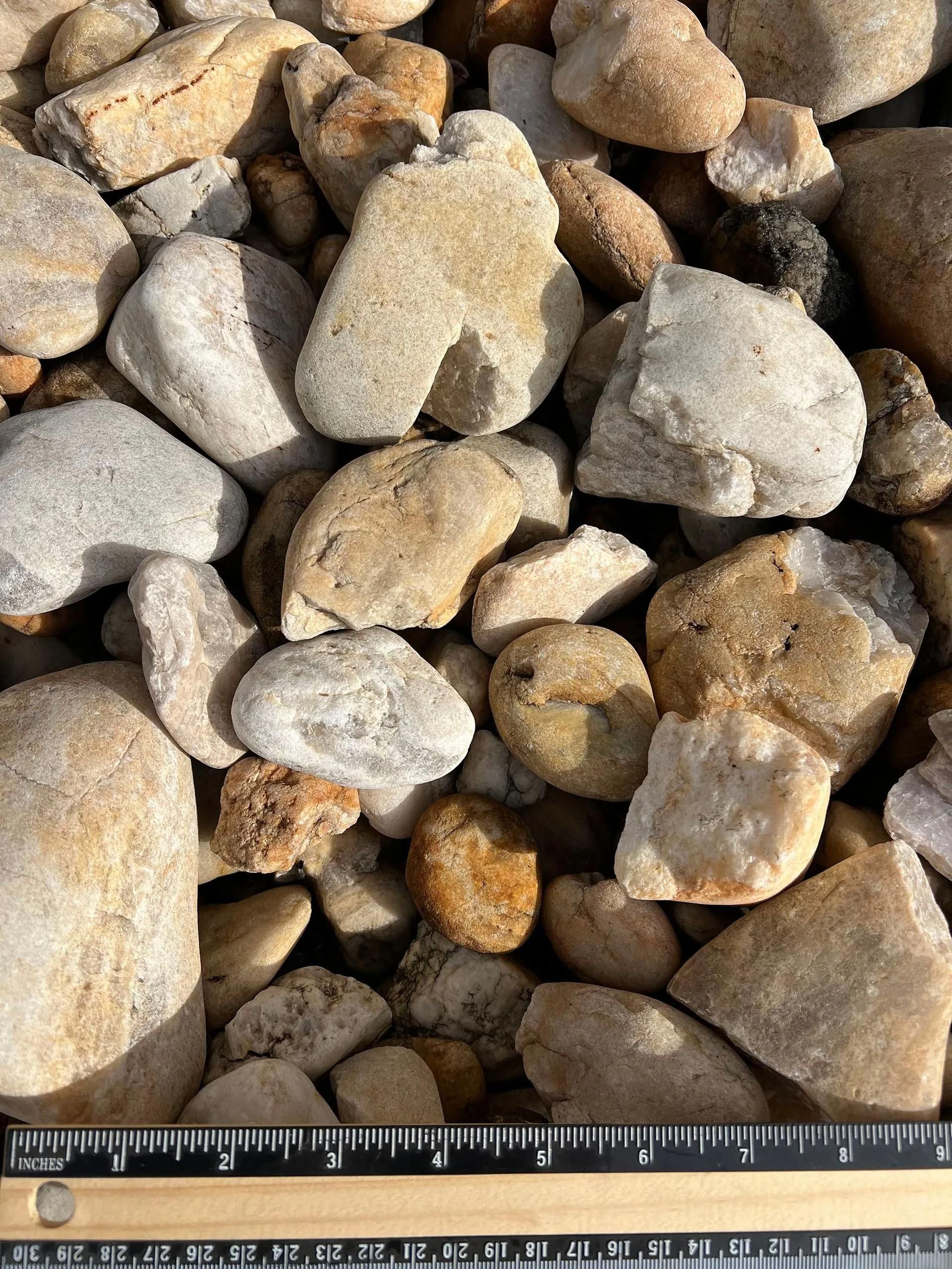 Assorted tan and gray rocks with a measuring ruler along the bottom edge.
