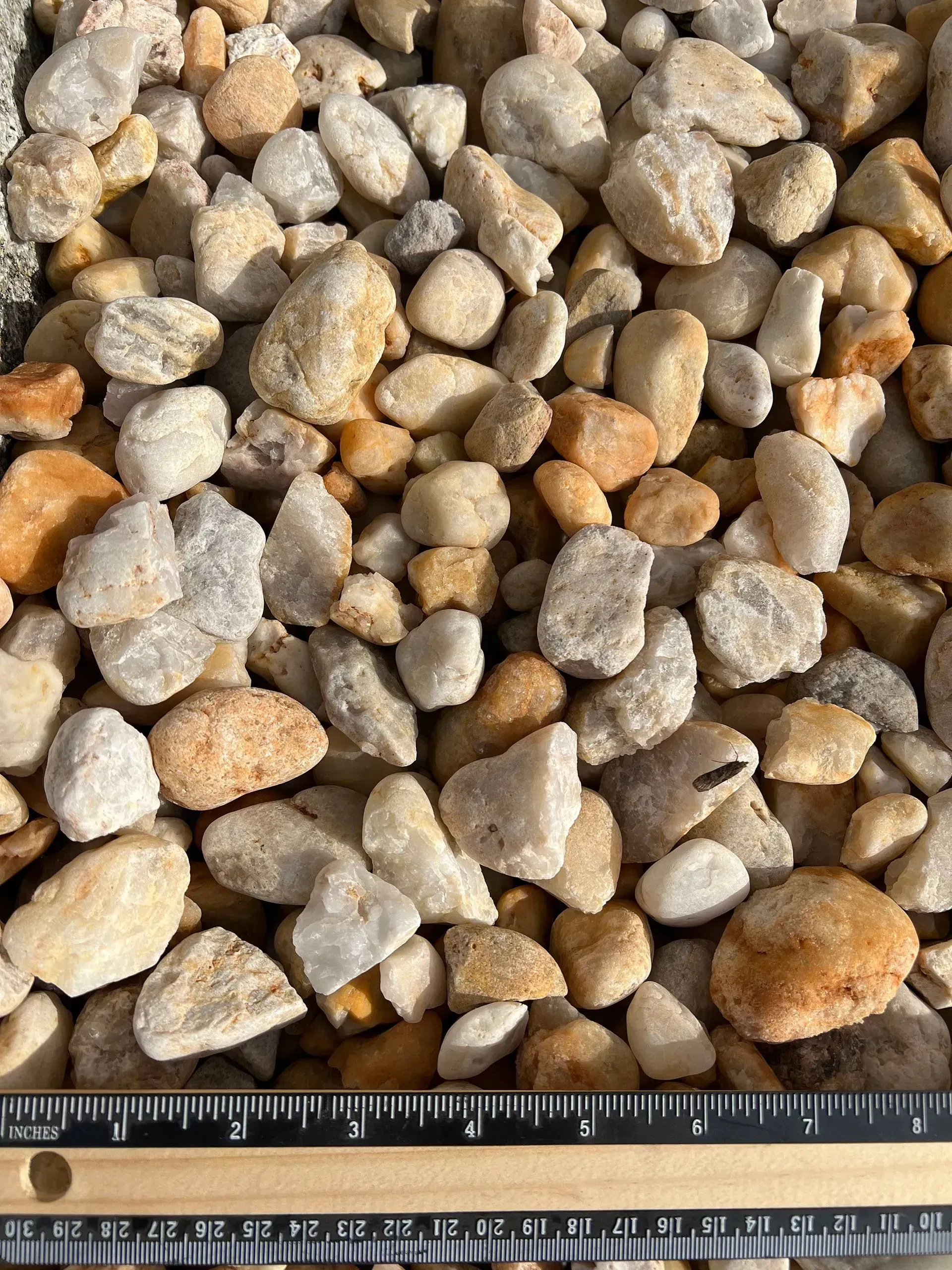 Close-up of mixed tan and gray pebbles with a ruler along the bottom edge