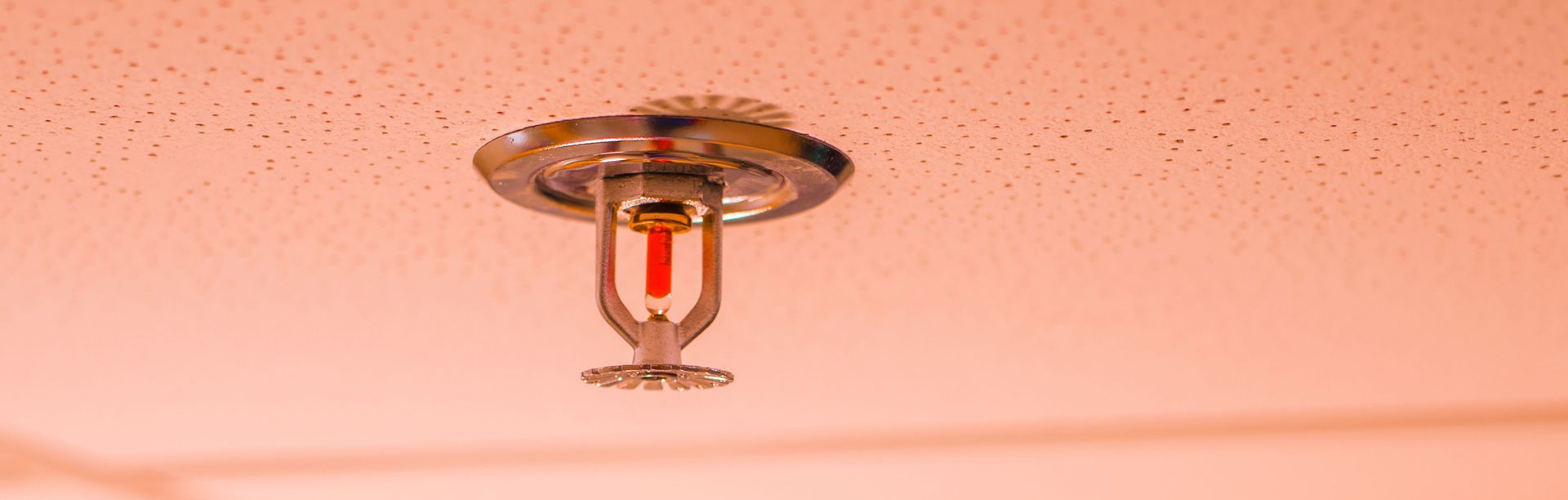 Fire sprinkler