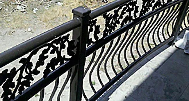 Decorative black metal railing beside a sidewalk and rocky water edge