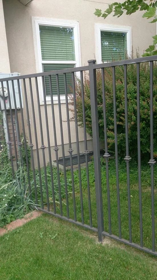 Black metal fence in front of a house with white-trim windows and green shrubs, beside a grassy yard