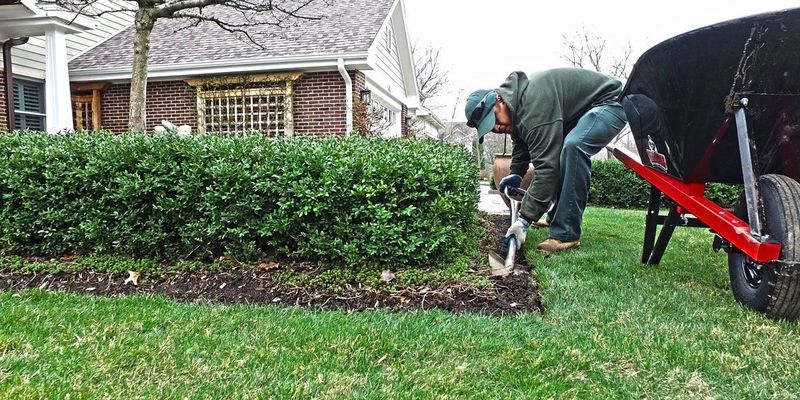 A person uses a trowel to work in a garden bed next to a hedge, with a wheelbarrow present.