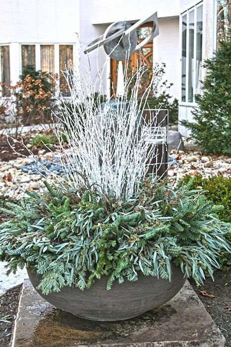 Stone planter with evergreen and silver branches, modern sculpture in a winter garden setting.
