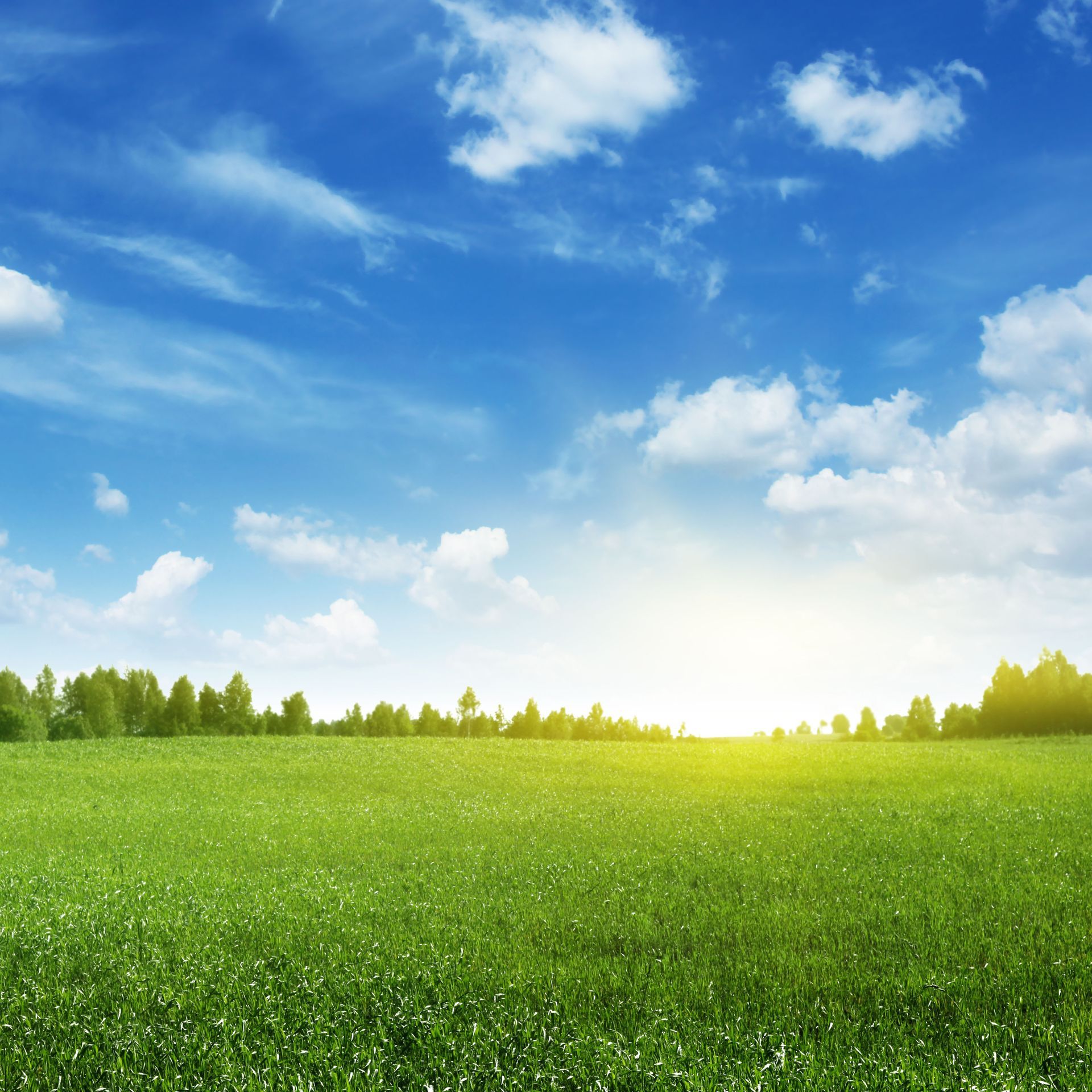 Vibrant green field under a bright blue sky with scattered clouds and a shining sun. Trees line the horizon.