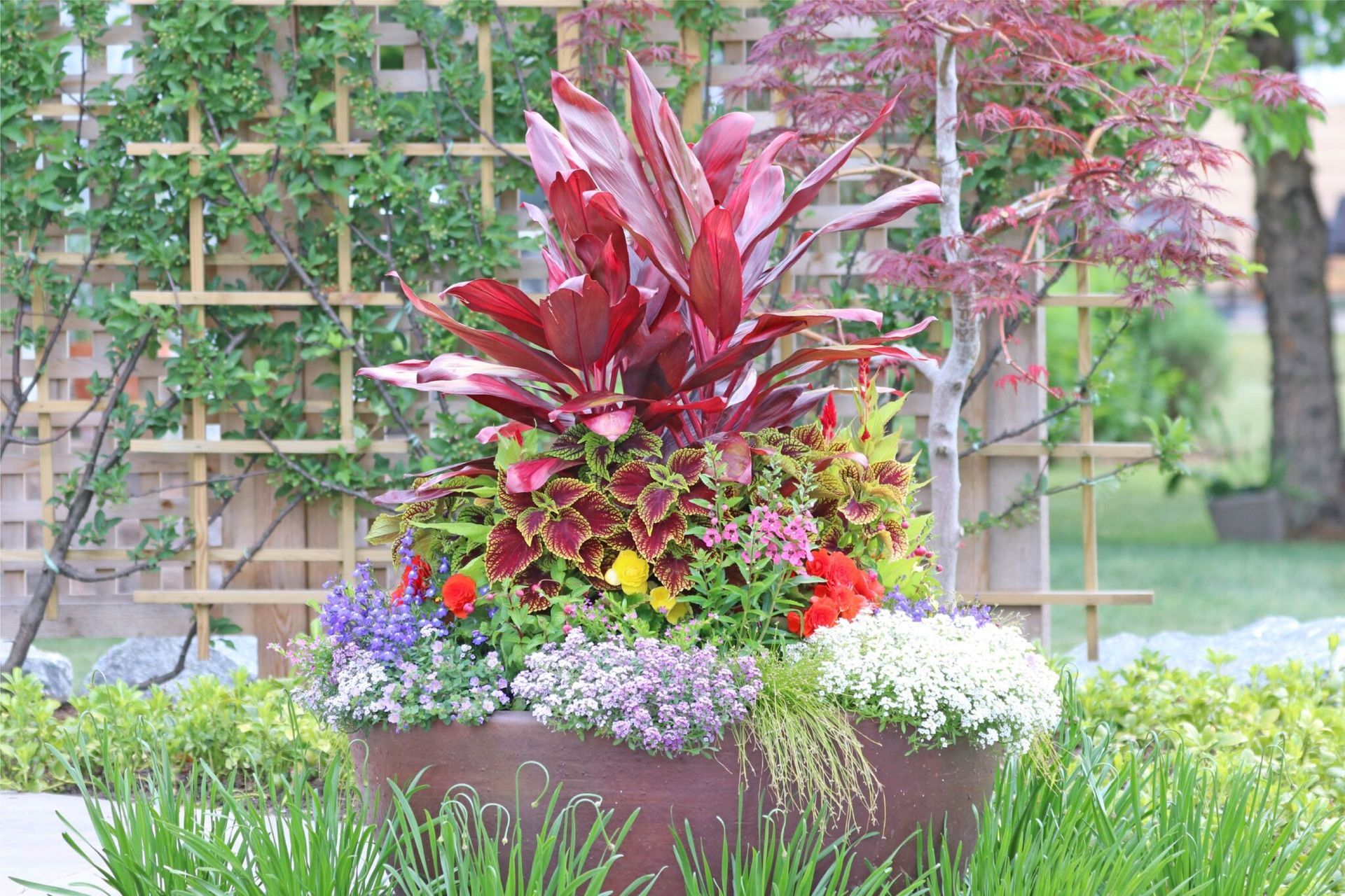 A colorful floral arrangement in a brown pot, featuring red, purple, and green plants, set outdoors.