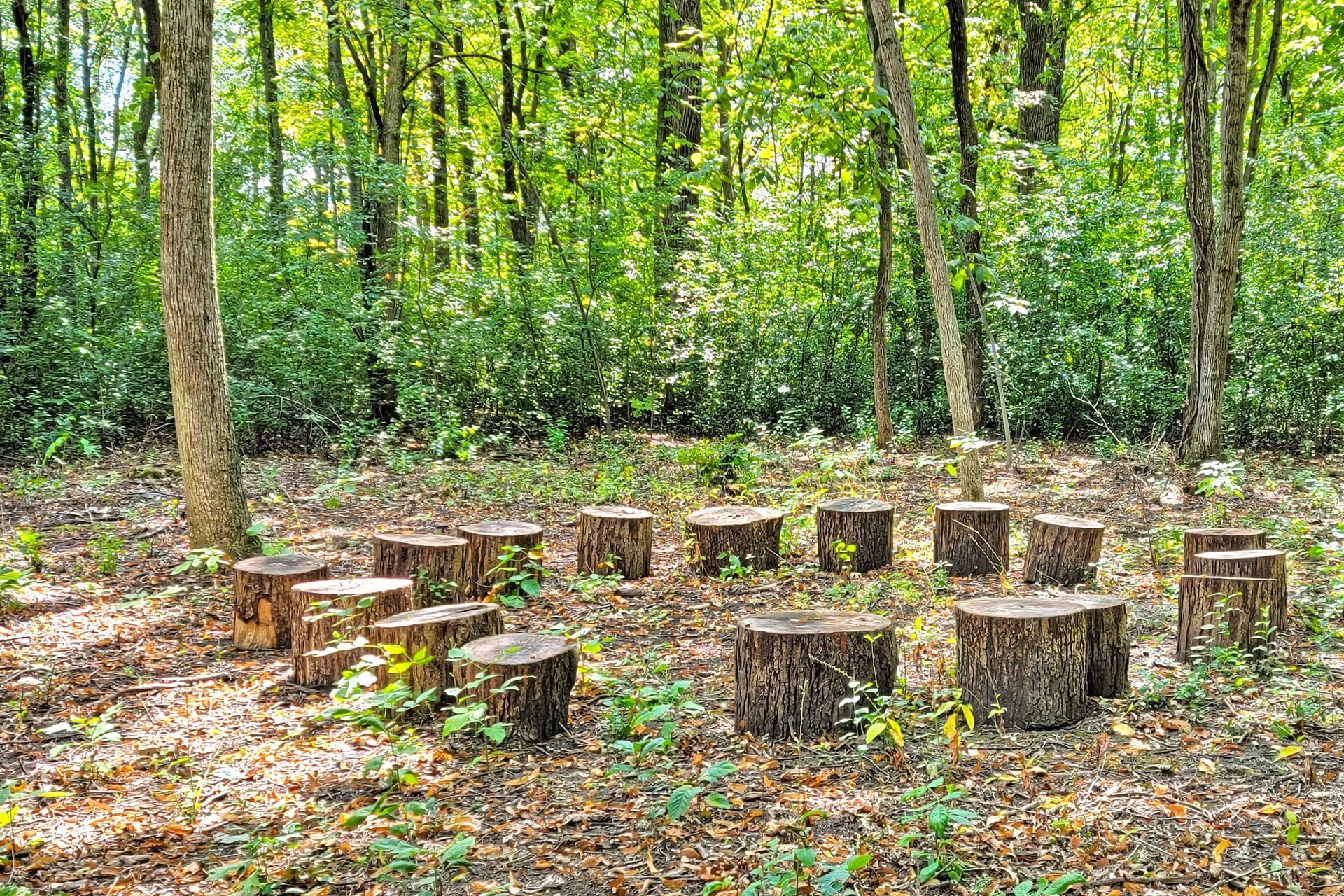 Lawn area with rock border, green grass, and a bed of dark gravel. Bushes and trees in the background.