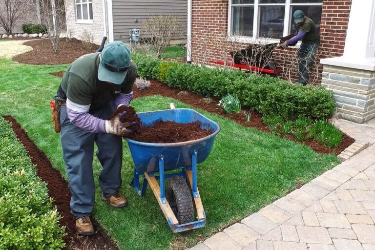 Two landscapers mulching flower beds around a house.