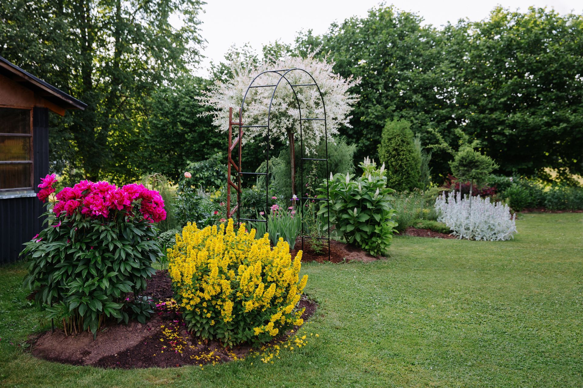 A colorful garden with blooming flowers, a trellis, and green lawn.