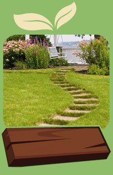 Beautiful landscape with stepping concrete at the middle of the grass