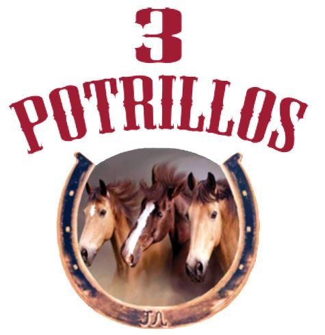 3 Potrillos Mexican Restaurant logo