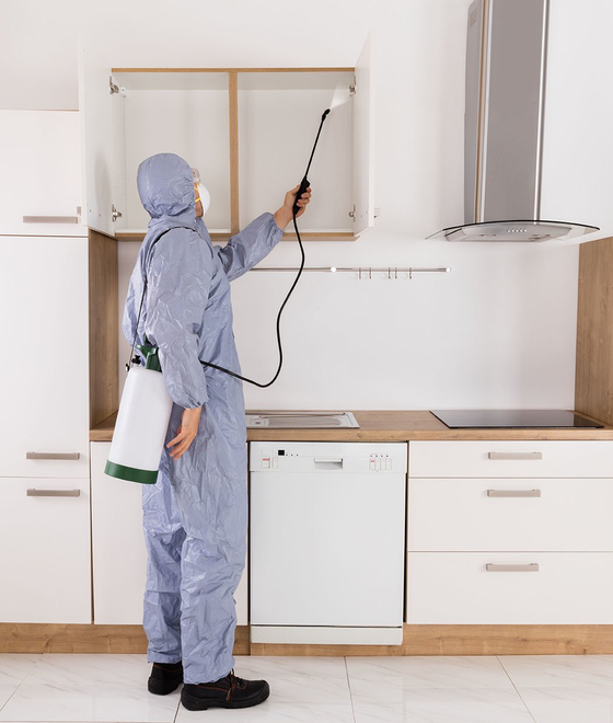 About Stateline Pest Control Inc. New City, NY