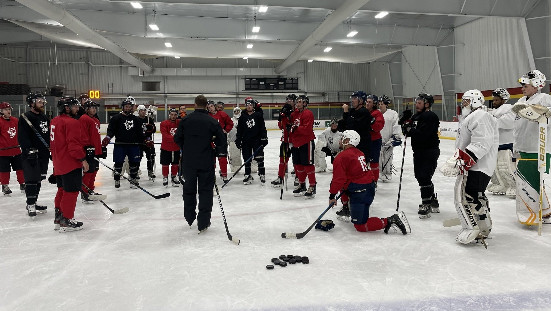 Vermilion County Bobcats' Free Agent Camp