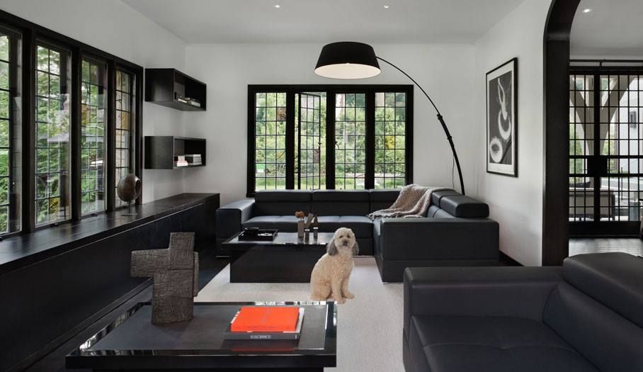 Modern living room with black and white decor, dog sitting on white floor.