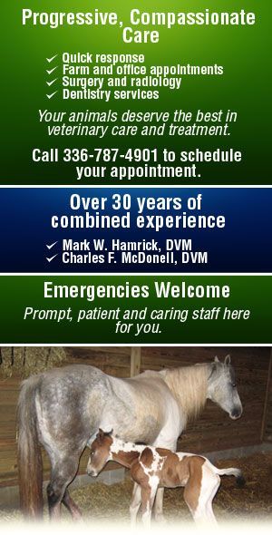 Lexington Large Animal Medicine & Surgery Brochure