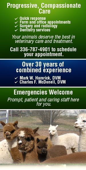 Alpaca And Llama Care Brochure